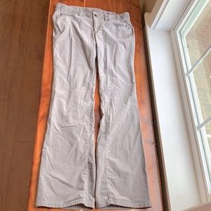 Ann Taylor modern boot cut velvet feel pants